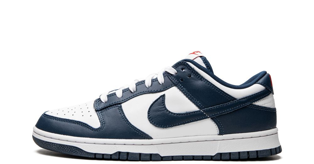Nike Dunk Low Valerian Blue