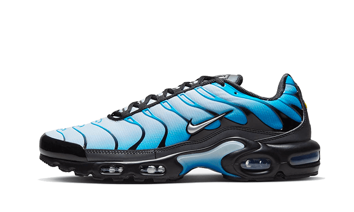 Nike Air Max Plus Blue Gradient - OnSize