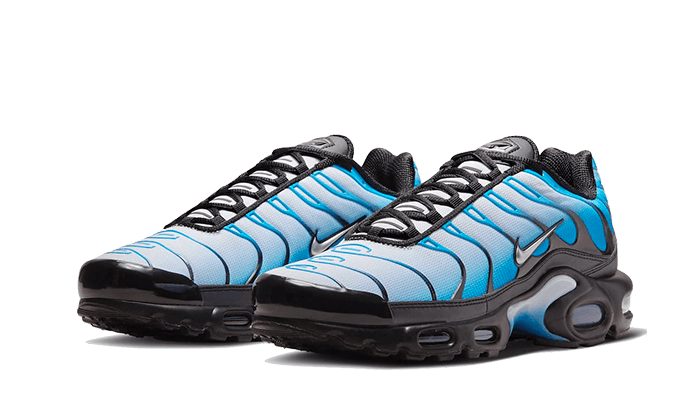 Nike Air Max Plus Blue Gradient - OnSize