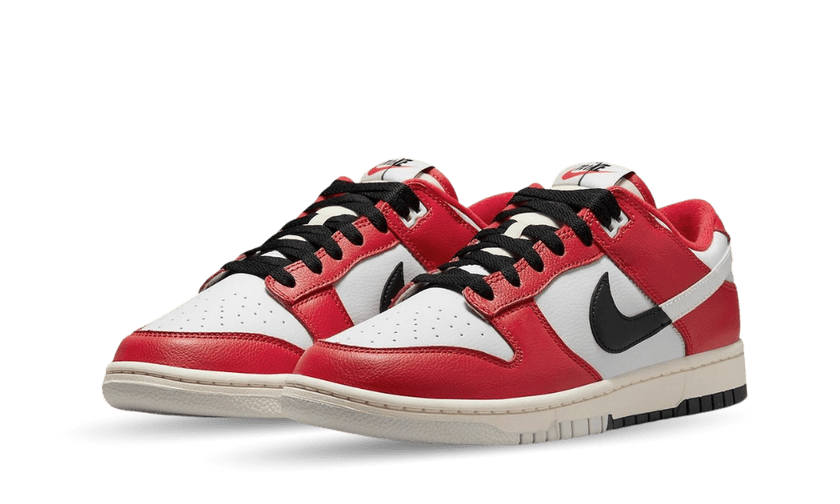 Nike Dunk Low Chicago Split - OnSize