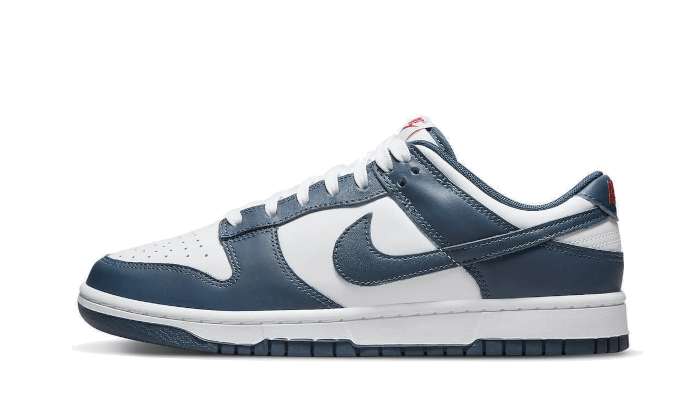 Nike Dunk Low Valerian Blue - OnSize