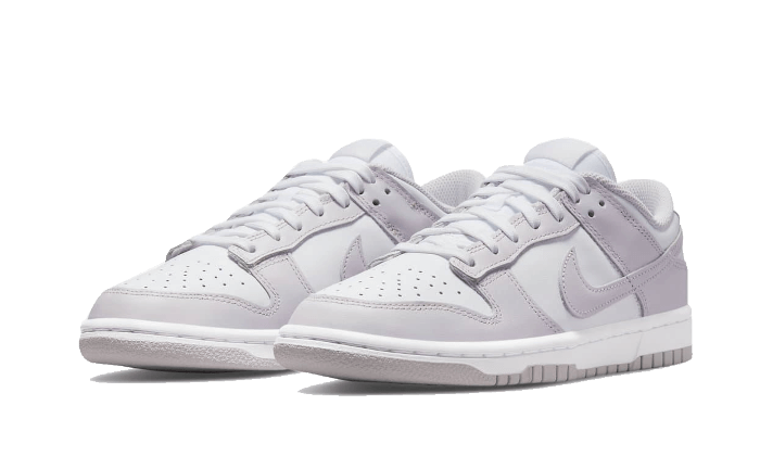 Nike Dunk Low Venice - OnSize