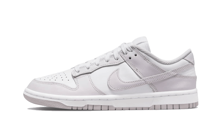 Nike Dunk Low Venice - OnSize